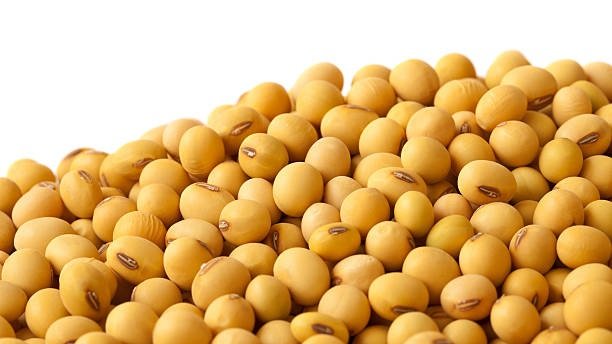 Soyabean Rate Today