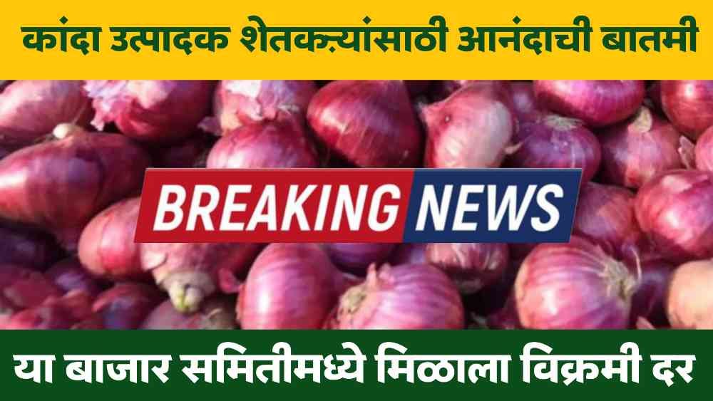 Onion market price